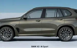 BMW X5 image 2