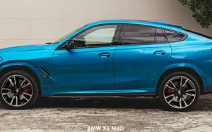 BMW X6 image 2
