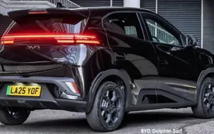 BYD Dolphin Surf image 3