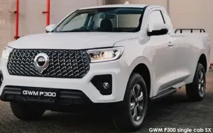 GWM P300 image 2