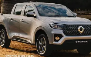 GWM P300 image 1