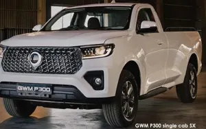 GWM P300 image 1