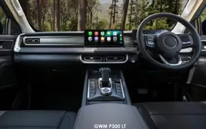 GWM P300 image 3