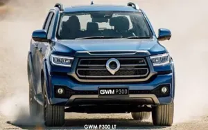 GWM P300 image 2