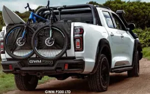 GWM P300 image 2